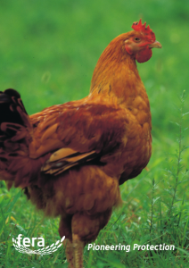 Fera CCSS VMPbrochure