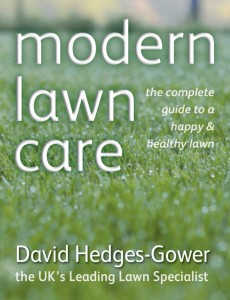 Lawn Care