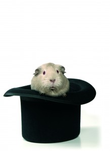 iStock_000000246082Large