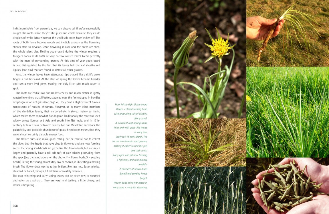 Ray Mears | Wild Food