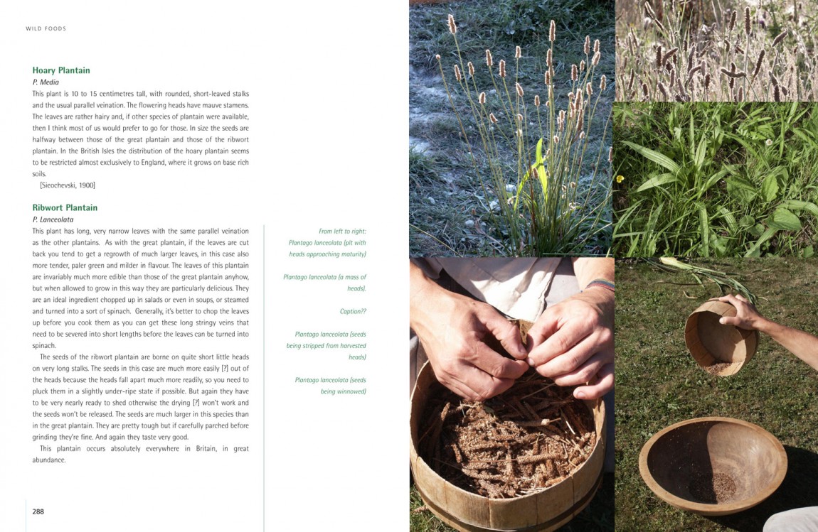 Ray Mears | Wild Food