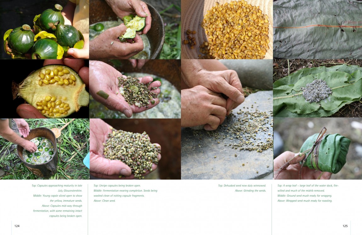 Ray Mears | Wild Food