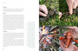 Ray Mears | Wild Food