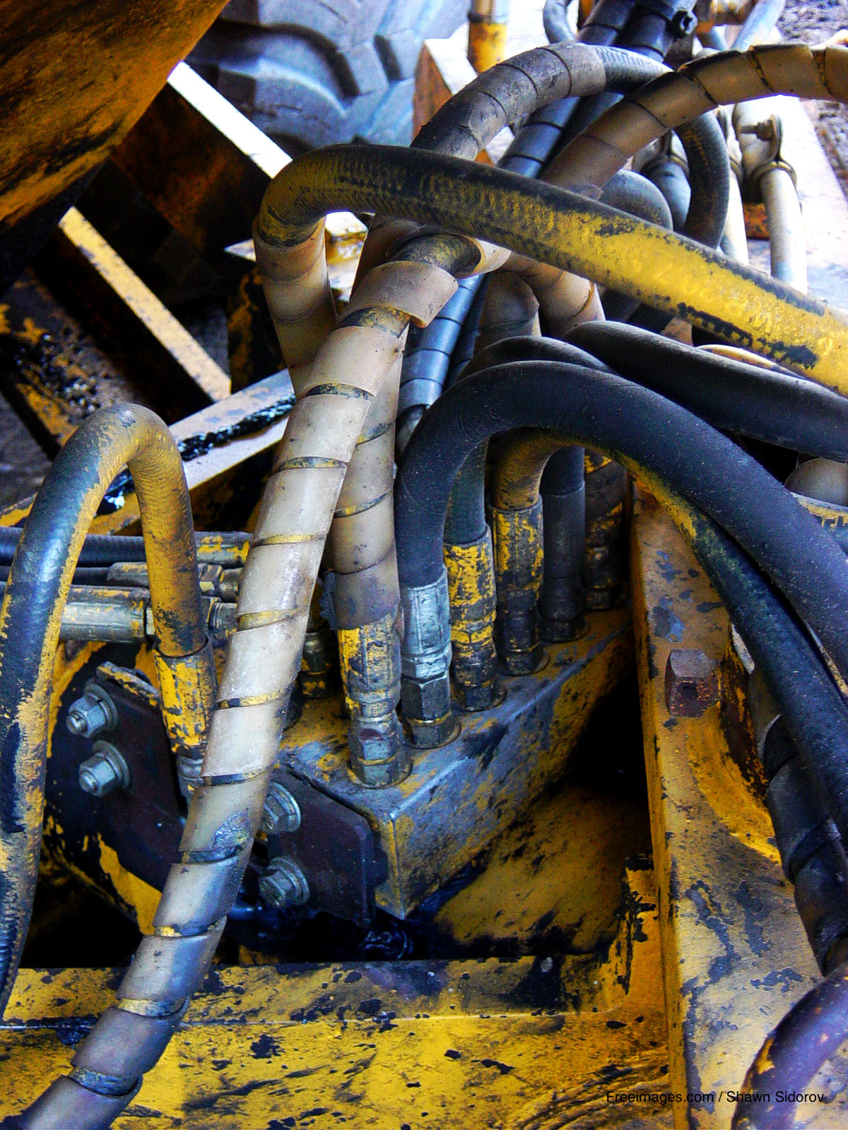 Quick website SEO Test - Big Ideas Collective