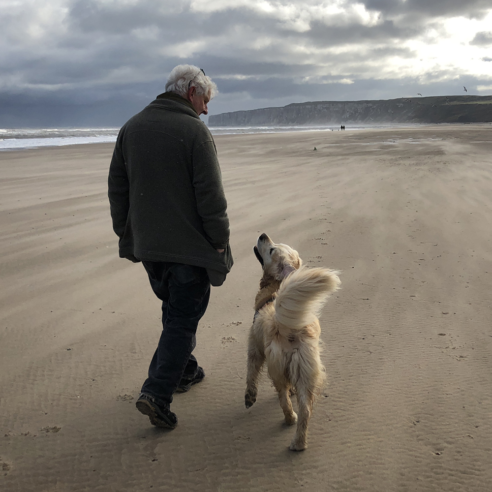 Ned Hoste and Pip - How to design a book...