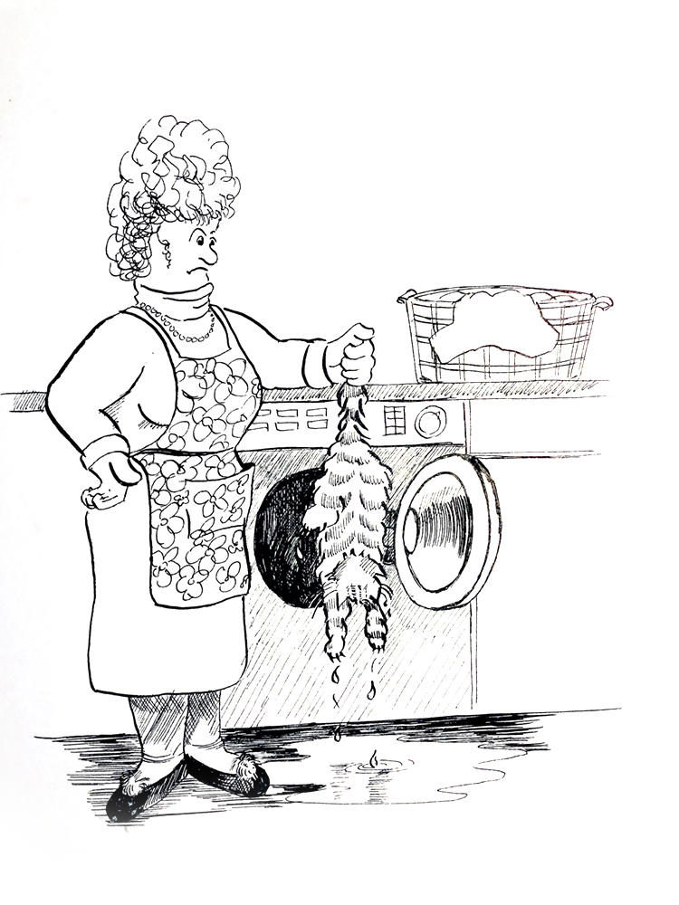 Cat falls asleep in wash machine and survives a gentle wash